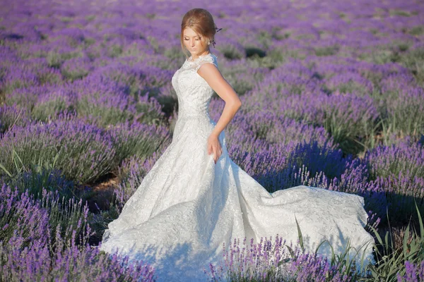 Belle mariée le jour du mariage dans le champ de lavande — Photo