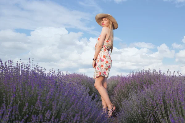Kaunis nainen pitkät vaaleat hiukset laventeli alalla — kuvapankkivalokuva