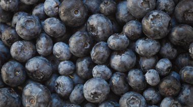 yaban mersini arka plan