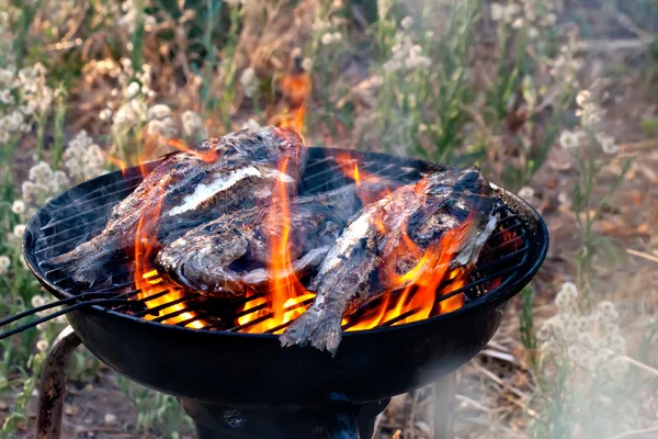 Sea Bream Fish Grilling On BBQ — Stock Photo, Image