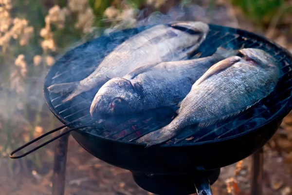Ryby leszcz morza grillowanie na grill — Zdjęcie stockowe