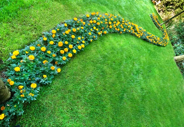 Pretty Manicured Flower Garden With Marygolds — Stock Photo, Image