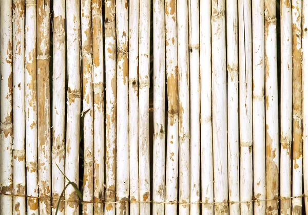 Yıpranmış beyaz boya arka plan doku duvar eski bambu — Stok fotoğraf