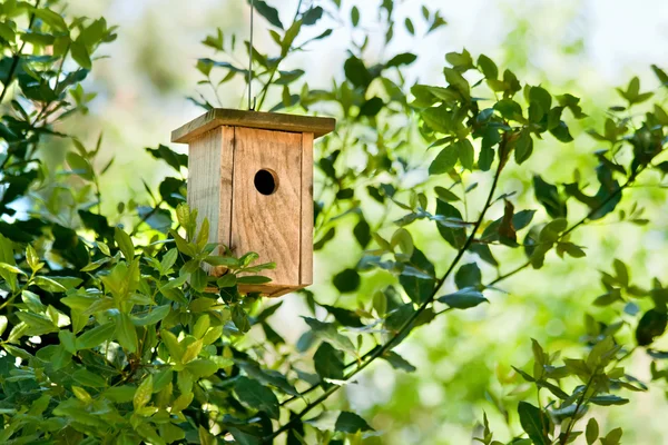 Houten Birdhouse opknoping In de boom Rechtenvrije Stockfoto's