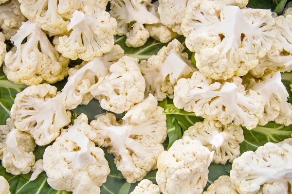 Organic White Cauliflower Stock Picture