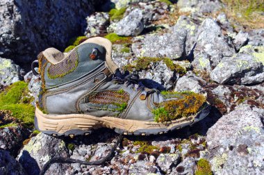 Eski yürüyüş botları, yosun kaplı