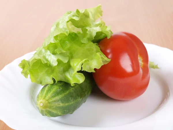Tomate et concombre — Photo