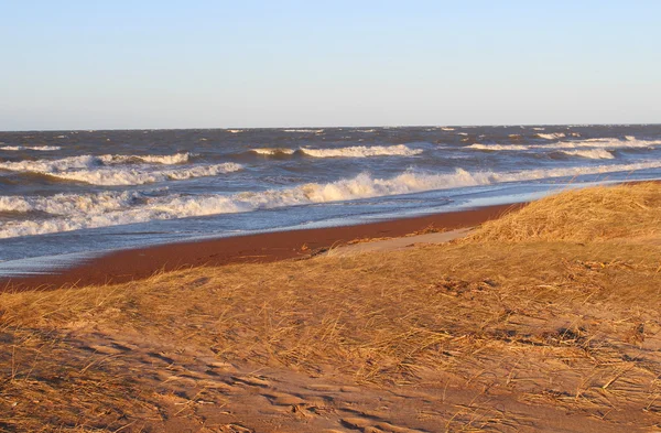 Stranden sandy över havet — Stockfoto