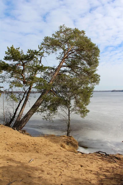 Nord озеро і ліс — стокове фото