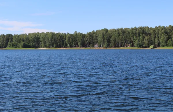 Forest and lake — Stock Photo, Image