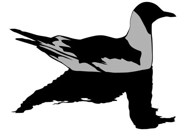 海鸥坐在水面上 — 图库矢量图片
