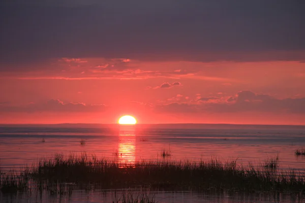 Parlak yaz günbatımı — Stok fotoğraf