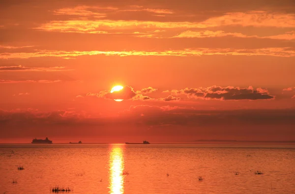 Golden sunset yaz — Stok fotoğraf