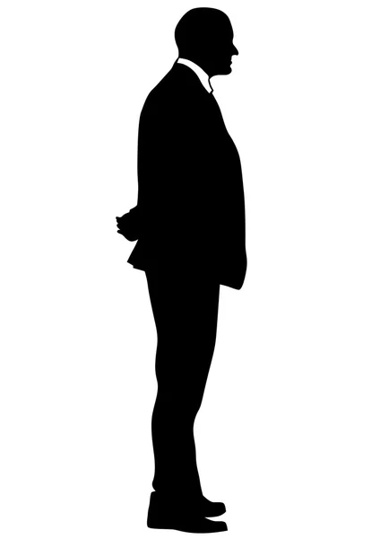 Businessman in suit on white — Stock Vector