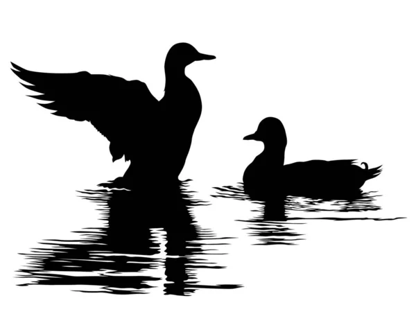 Vogelschwärme Wasser Isolierte Silhouette Auf Weißem Hintergrund — Stockvektor