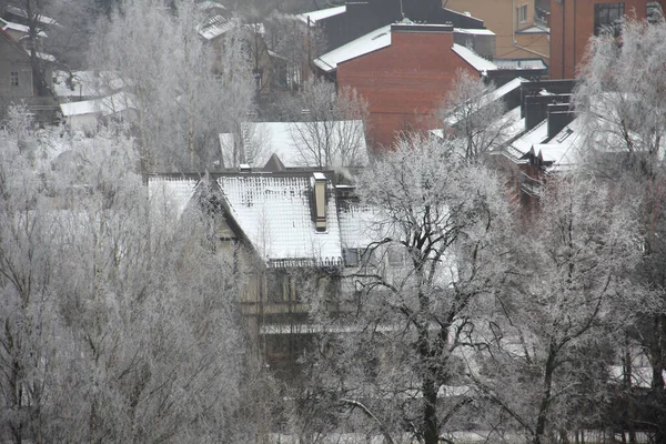 Inverno Nevoso Una Grande Città Foresta Europea — Foto Stock