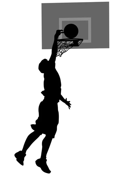 Baloncesto sobre fondo blanco — Vector de stock