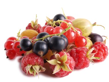 Beyaz arka plan üzerinde kuş üzümü berry