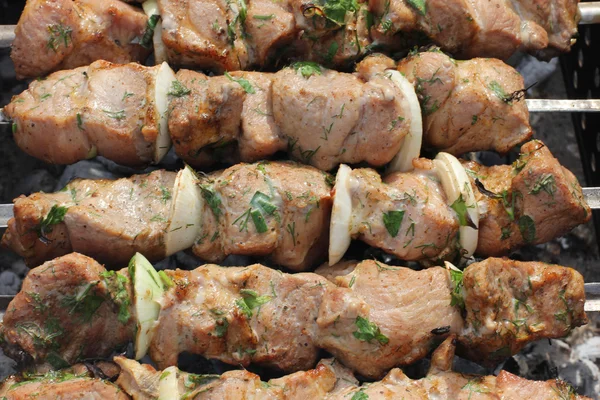 Sıcak ızgara şiş kebap — Stok fotoğraf