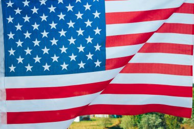 Ormanın önünde sallanan bayrağımız