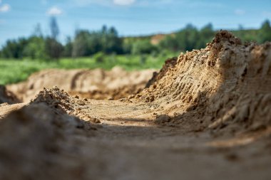 Çimlerin arasında bir tarlada yol var. Zemin seviyesinden perspektif görünümü.