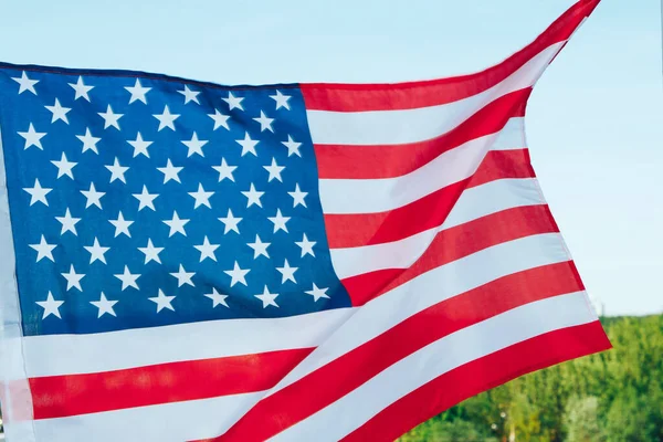 Visící Červená Bílá Modrá Pruhovaná Americká Vlajka Pozadí Lesa Modré — Stock fotografie