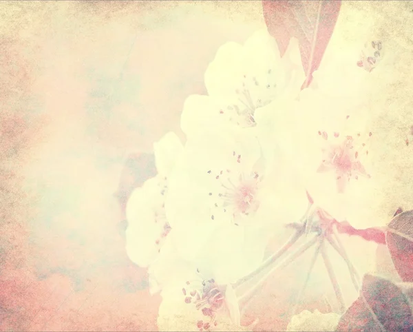 Blur retro flowers — Stock Photo, Image