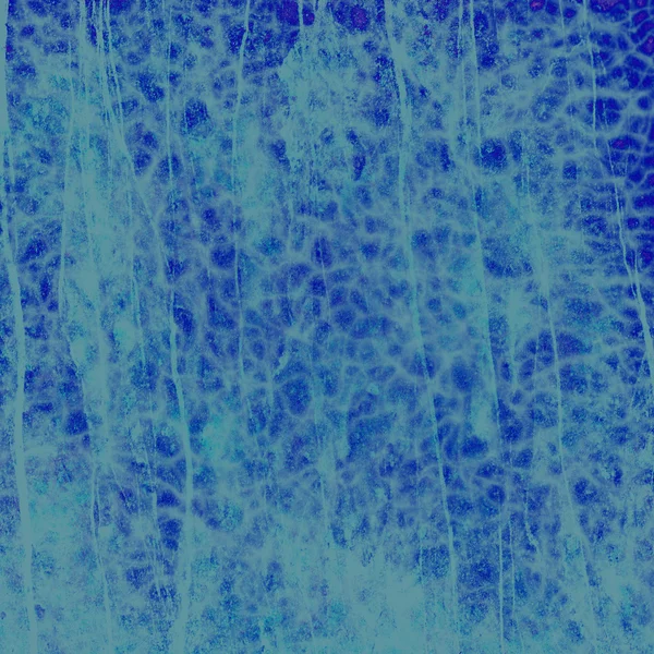 Сине-зеленый фон — стоковое фото