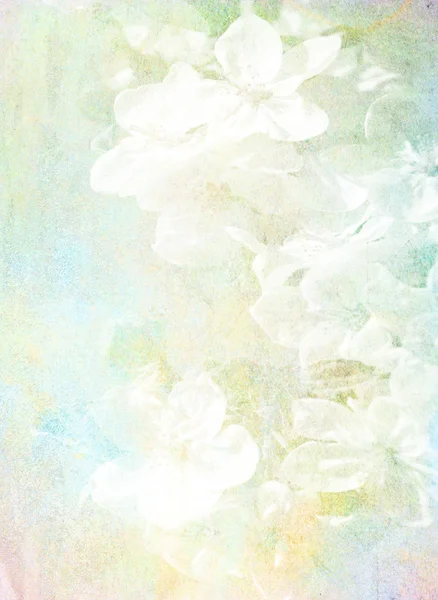 Abstract Background Flowers Watercolor Painting Hand Drawing — Stock Photo, Image