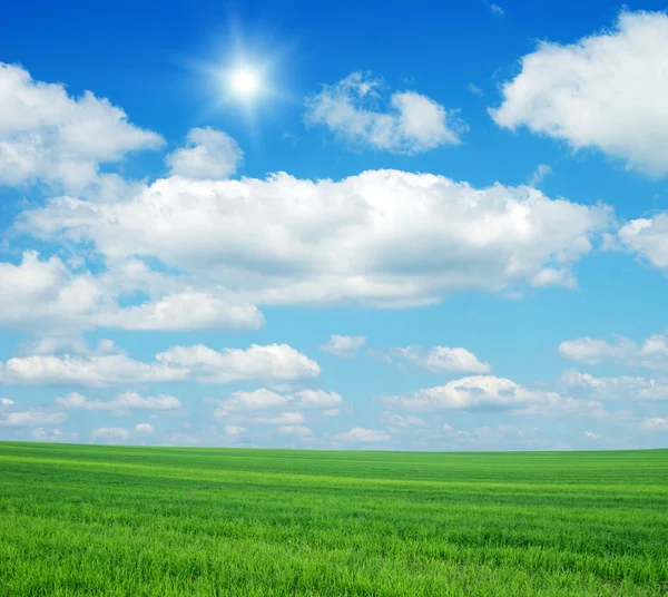 Yeşil çimen ve parlak mavi gökyüzü — Stok fotoğraf