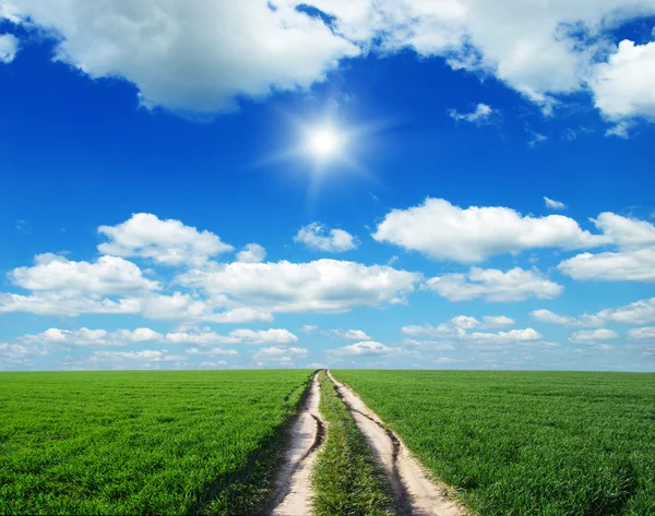 Green grass field and bright blue sky — Stock Photo, Image