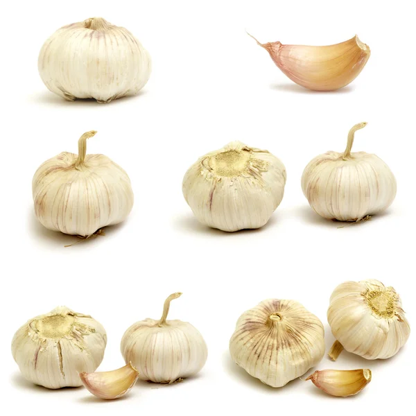 Fresh Ripe Garlic White Background Closeup — Stockfoto