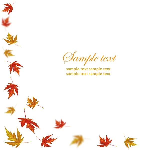 Weißer Hintergrund Mit Herbstlaub Und Kopierplatz Für Ihren Text — Stockfoto