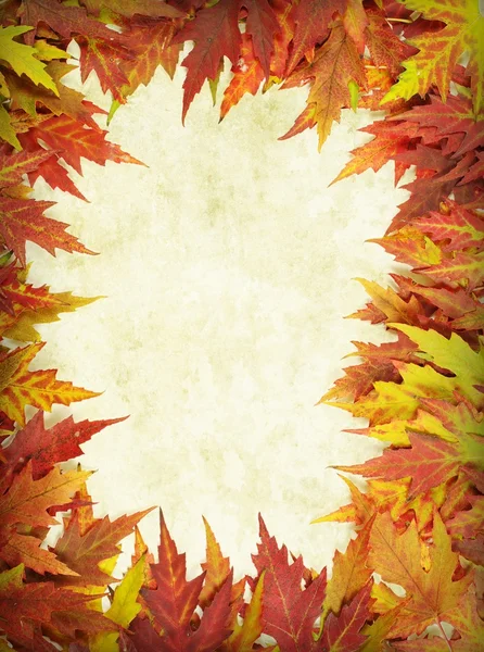 Abstract Background Autumn Leaves Frame — Stock Photo, Image