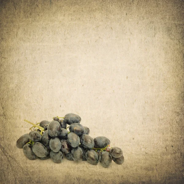 Raisins Bleus Isolés Sur Fond Rétro — Photo