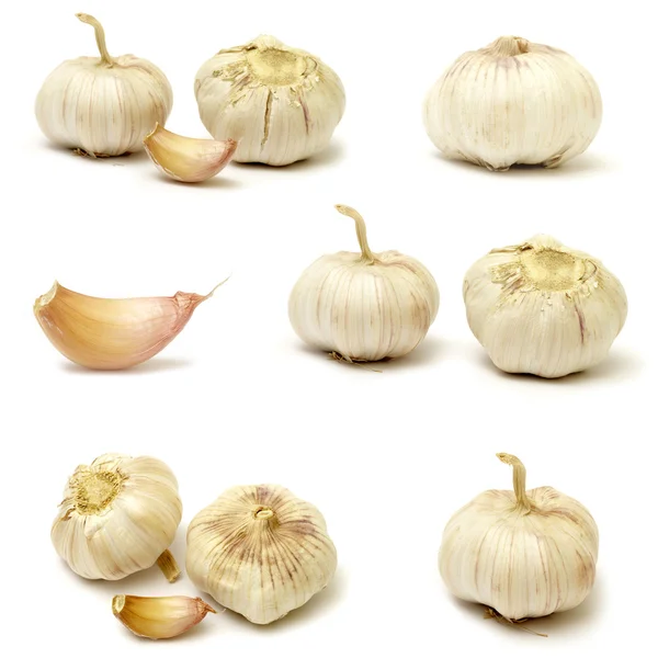 Sammlungen Von Knoblauch Isoliert Auf Weißem Hintergrund — Stockfoto