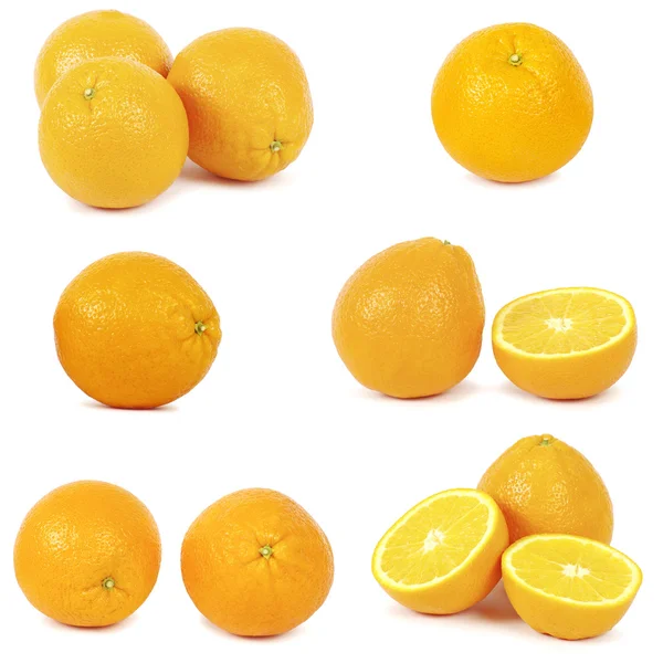 Ensemble Oranges Fraîches Mûres Isolées Sur Fond Blanc — Photo