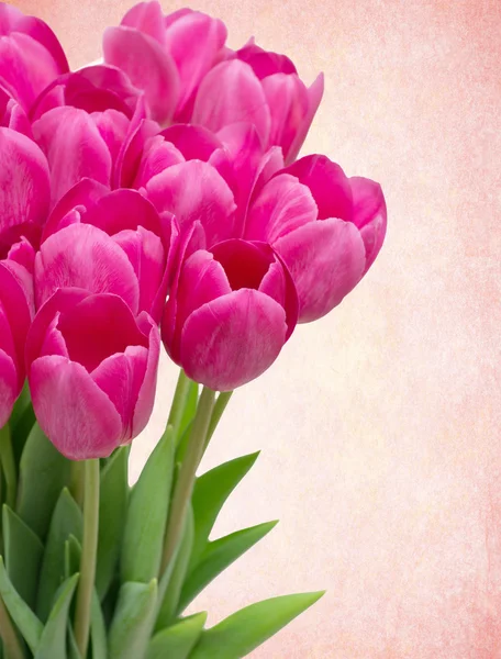 Bouquet Tulips Flowers Isolated White — Stock Photo, Image