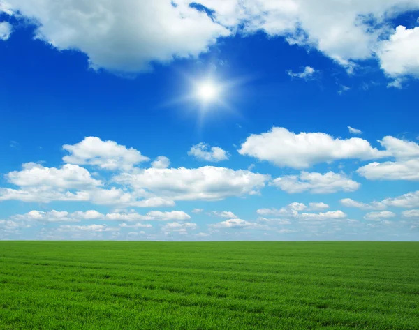 Campo verde, cielo blu e sole — Foto Stock