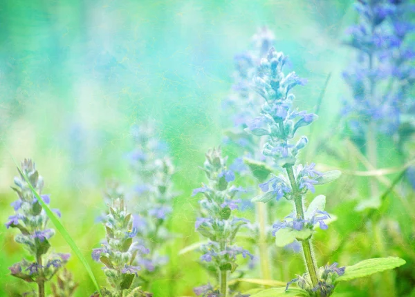 Fiori retrò — Foto Stock