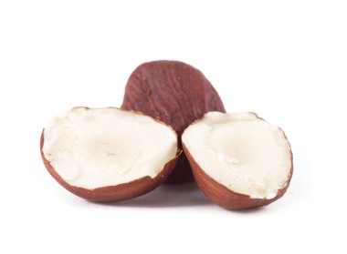 Fındık fındığı beyaz arkaplanda izole