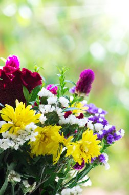 yeşil zemin üzerine güzel bir buket çiçek