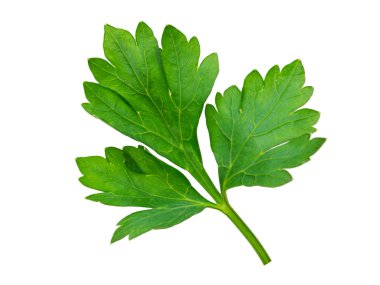 taze ot maydanoz üzerinde beyaz izole