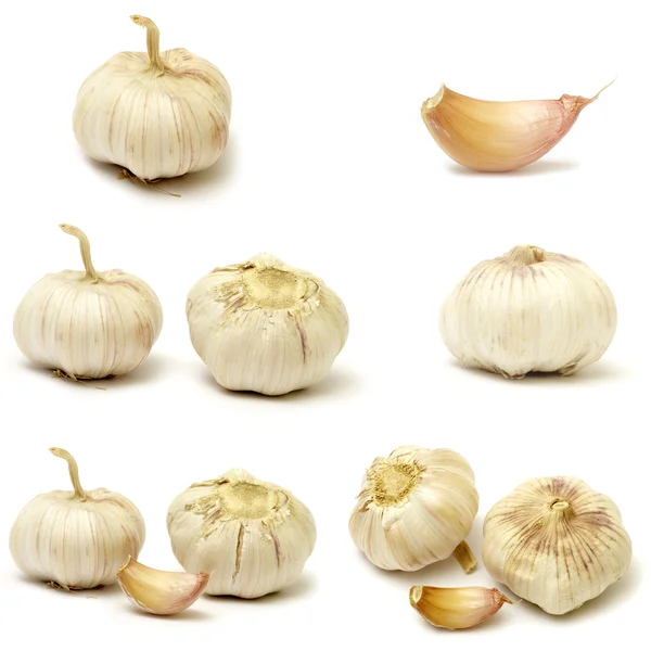 Sammlungen Von Knoblauch Isoliert Auf Weißem Hintergrund — Stockfoto