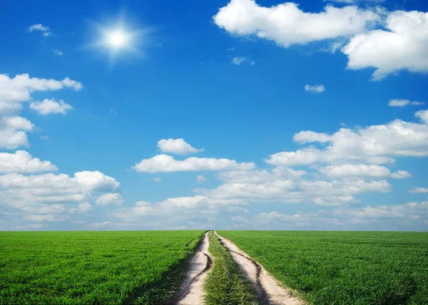 Lane Meadow Deep Blue Sky Nature Design — Stock Photo, Image