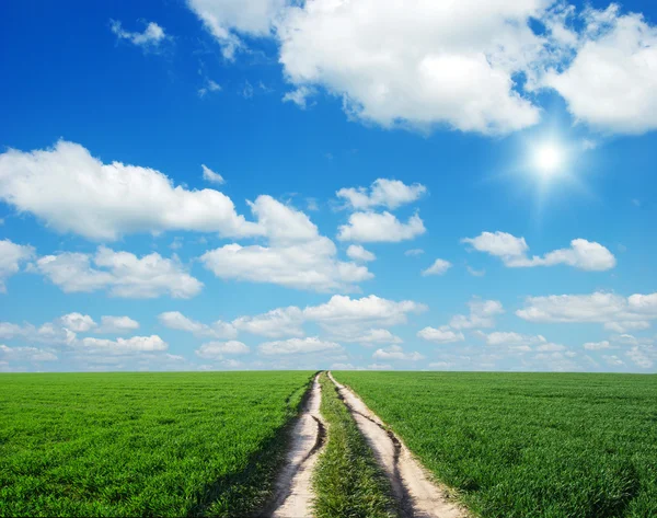 Lane Meadow Deep Blue Sky Nature Design — Stock Photo, Image