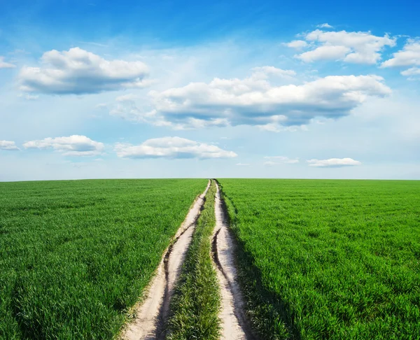 Groen Veld Blauwe Lucht — Stockfoto