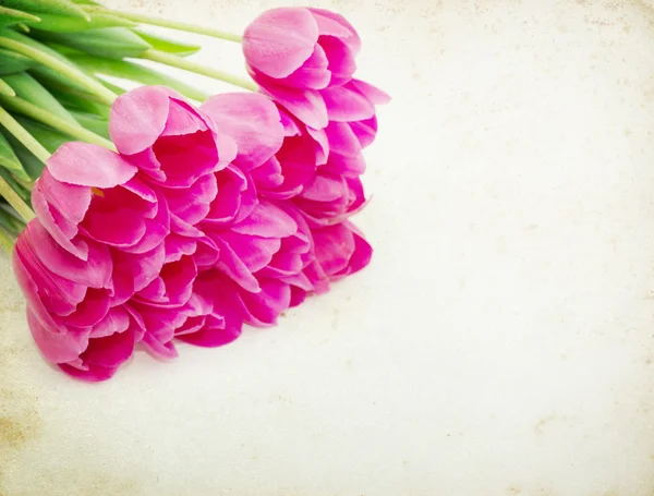 Rosa Tulpenstrauß Auf Weißem Hintergrund Mit Kopierraum — Stockfoto