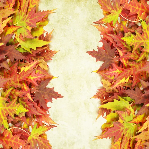 用秋天的叶子擦拭背景 并为你的文字复制空间 — 图库照片