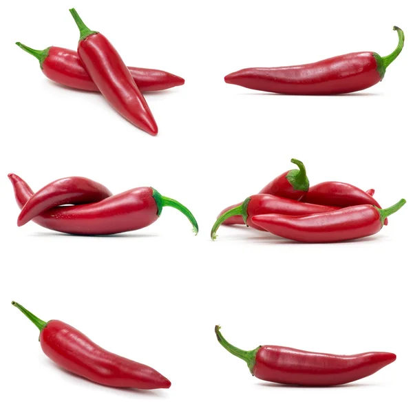 Peperoncino Rosso Isolato Fondo Bianco — Foto Stock